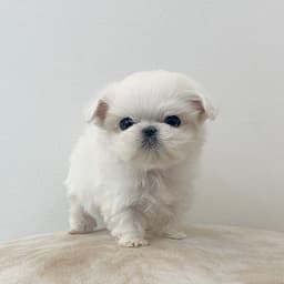홍유희의 프로필 이미지