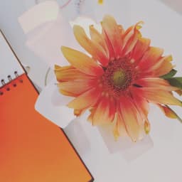 김지연의 프로필 이미지