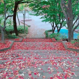 KMS의 프로필 이미지