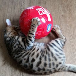 사용자 프로필 1