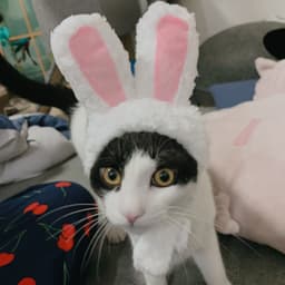 조혜인의 프로필 이미지
