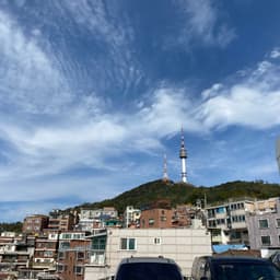 송하진의 프로필 이미지