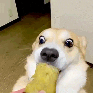 박수경의 프로필 이미지