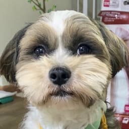이유진의 프로필 이미지