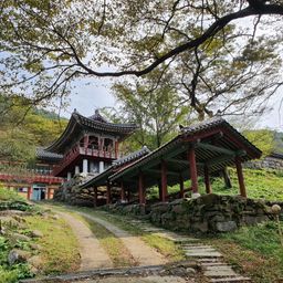 사용자 프로필 1