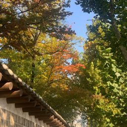 사용자 프로필 1