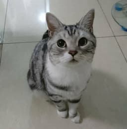 정수정의 프로필 이미지