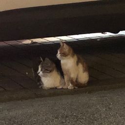 사용자 프로필 1