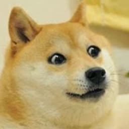 노재원의 프로필 이미지
