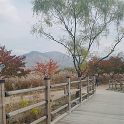 김혜란의 프로필 이미지