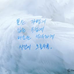 AhnAnna의 프로필 이미지