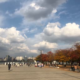신윤정의 프로필 이미지