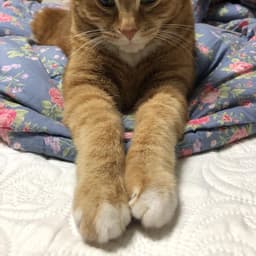이병일의 프로필 이미지