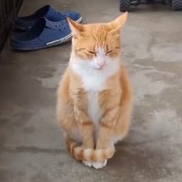 황인선의 프로필 이미지