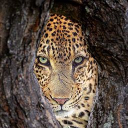 사용자 프로필 1