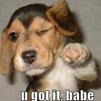 요한한의 프로필 이미지