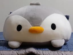 전세훈의 프로필 이미지
