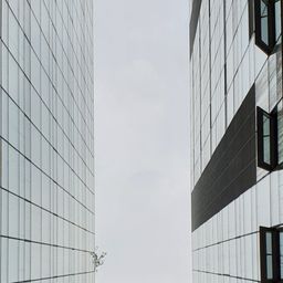 사용자 프로필 1