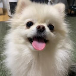 김민지의 프로필 이미지