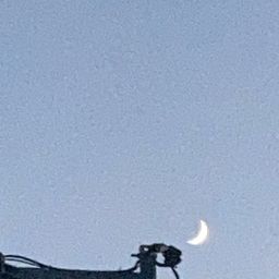 사용자 프로필 1