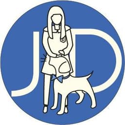 정다영의 프로필 이미지