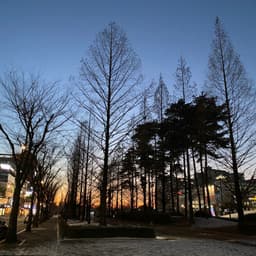 SHINDAM의 프로필 이미지