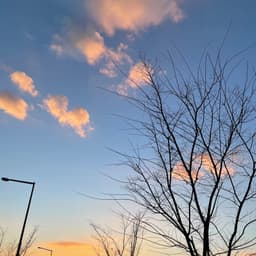 유혜린의 프로필 이미지