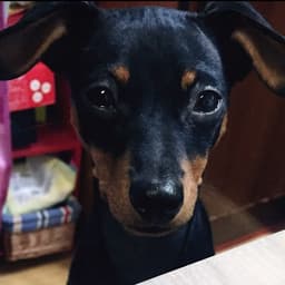 신은지의 프로필 이미지