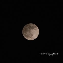 사용자 프로필 1