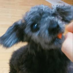 김상근의 프로필 이미지