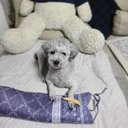 choiben의 프로필 이미지