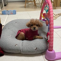 정지훈의 프로필 이미지