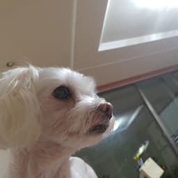 김석우의 프로필 이미지