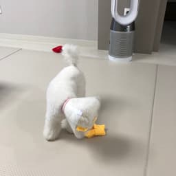 최혜인의 프로필 이미지