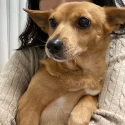 사용자 프로필 1