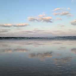 사용자 프로필 1