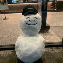 정미경의 프로필 이미지