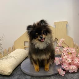 이도윤의 프로필 이미지