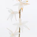 使用者個人資料 1