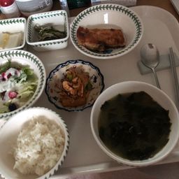 사용자 프로필 1