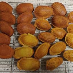 백지연의 프로필 이미지