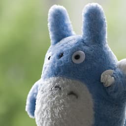 박유나의 프로필 이미지