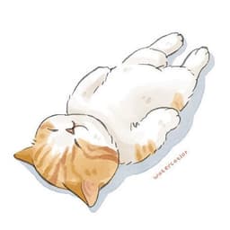 조만연의 프로필 이미지