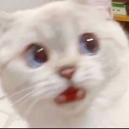 사용자 프로필 1