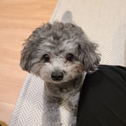 임재인의 프로필 이미지