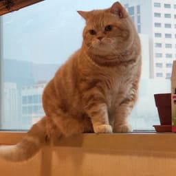 parkgahye의 프로필 이미지