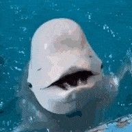 사용자 프로필 1