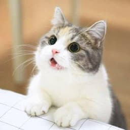 김지우의 프로필 이미지