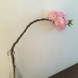 사용자 프로필 1