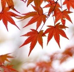 사용자 프로필 1